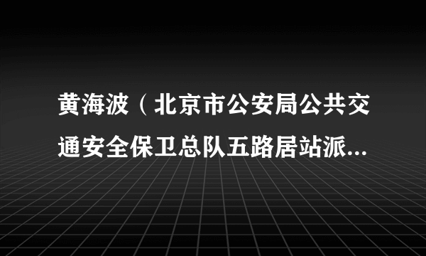 黄海波（北京市公安局公共交通安全保卫总队五路居站派出所三级高级警长）