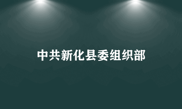 中共新化县委组织部