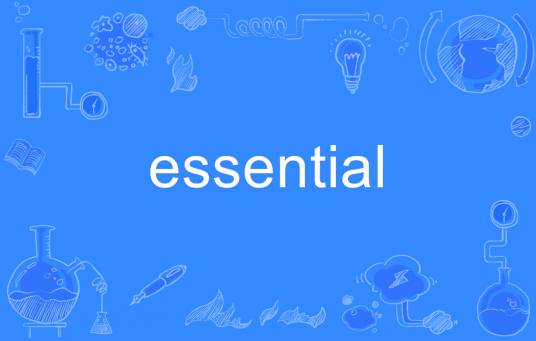 essential（英语单词）