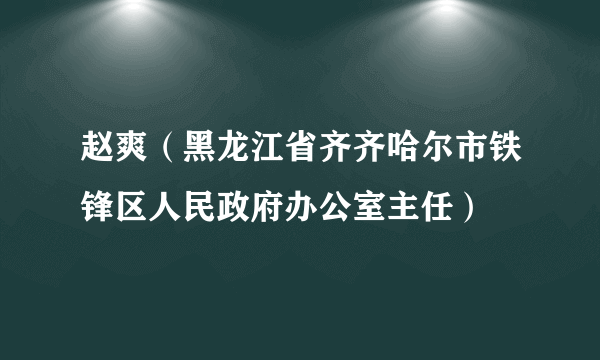 赵爽（黑龙江省齐齐哈尔市铁锋区人民政府办公室主任）