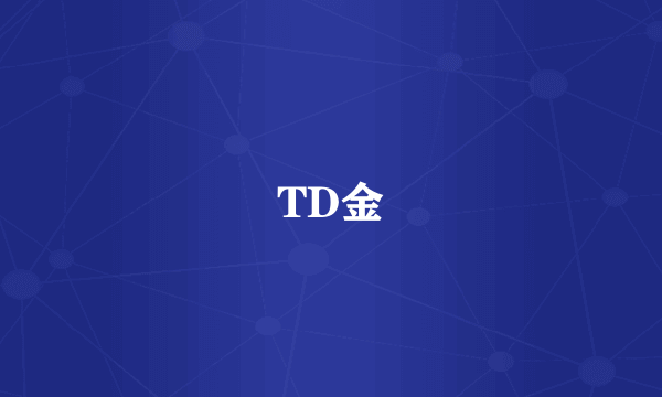 TD金