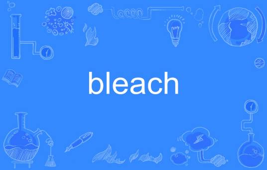 bleach（英语单词）