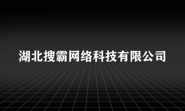 湖北搜霸网络科技有限公司