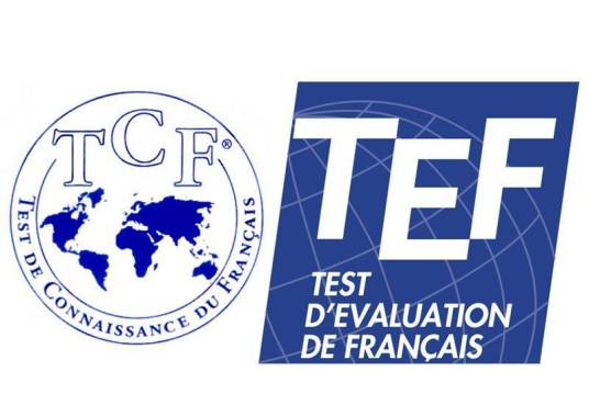 TCF（法国国际教育研究中心组织的法文水平考试）