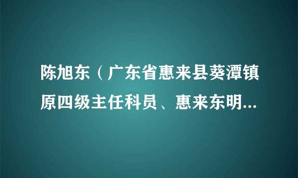 陈旭东（广东省惠来县葵潭镇原四级主任科员、惠来东明医院原实际控制人）