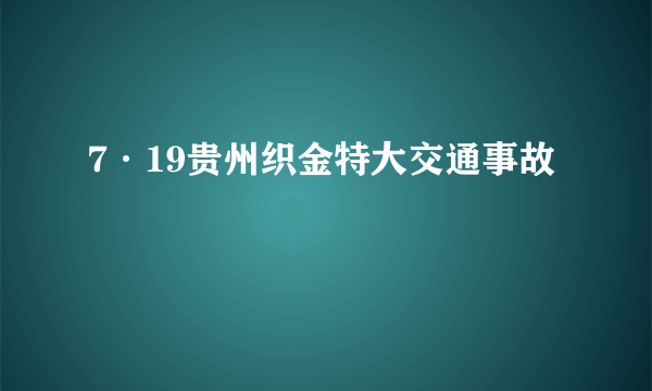 7·19贵州织金特大交通事故