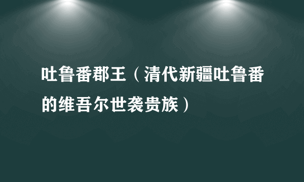 吐鲁番郡王（清代新疆吐鲁番的维吾尔世袭贵族）