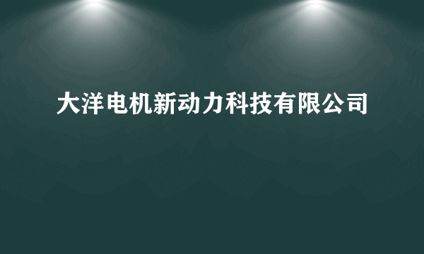 大洋电机新动力科技有限公司