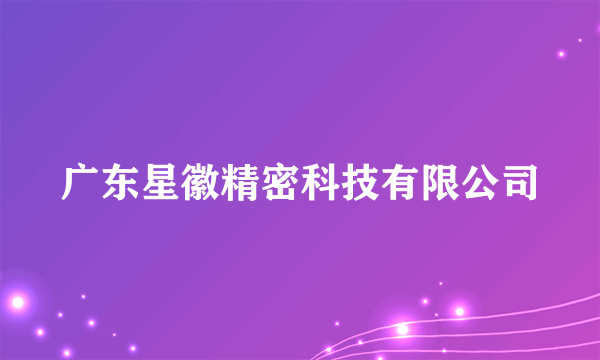 广东星徽精密科技有限公司