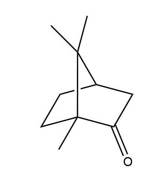 樟脑（有机化合物）