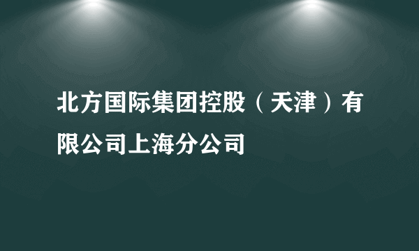 北方国际集团控股（天津）有限公司上海分公司