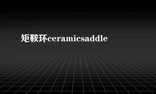 矩鞍环ceramicsaddle