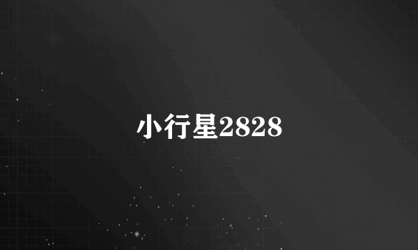 小行星2828