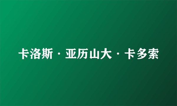 卡洛斯·亚历山大·卡多索