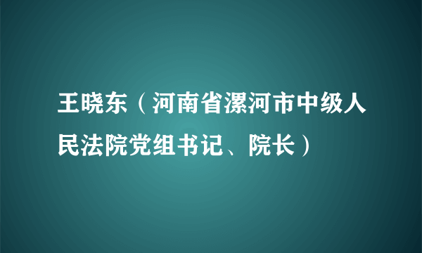 王晓东（河南省漯河市中级人民法院党组书记、院长）