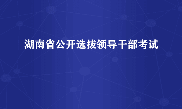 湖南省公开选拔领导干部考试