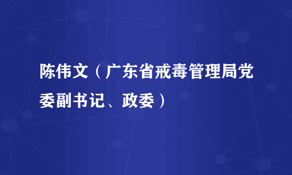 陈伟文（广东省戒毒管理局党委副书记、政委）