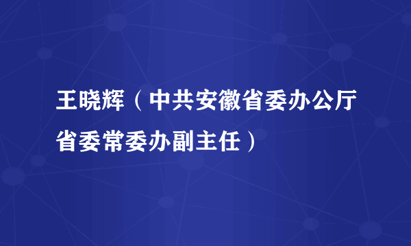 王晓辉（中共安徽省委办公厅省委常委办副主任）