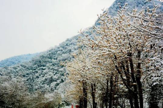 十堰太和梅花谷水利风景区