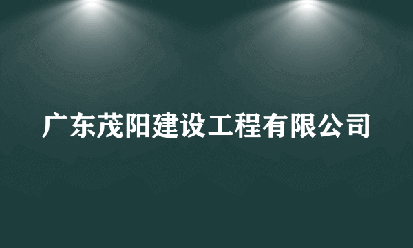 广东茂阳建设工程有限公司