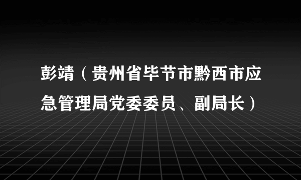 彭靖（贵州省毕节市黔西市应急管理局党委委员、副局长）