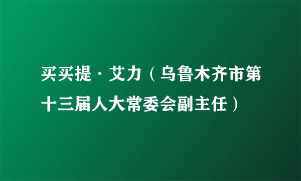 买买提·艾力（乌鲁木齐市第十三届人大常委会副主任）