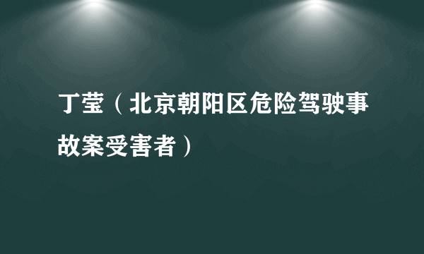 丁莹（北京朝阳区危险驾驶事故案受害者）