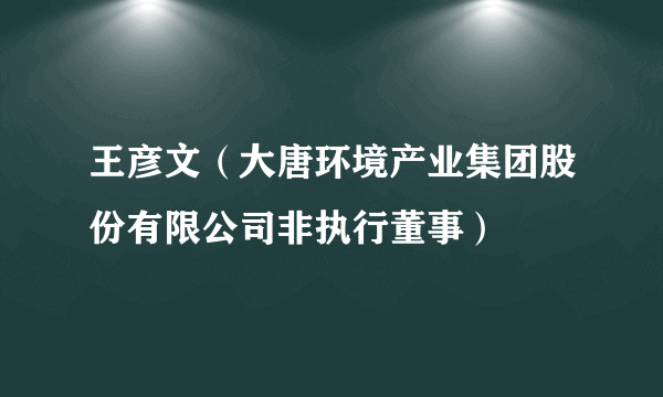 王彦文（大唐环境产业集团股份有限公司非执行董事）