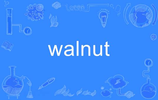 walnut