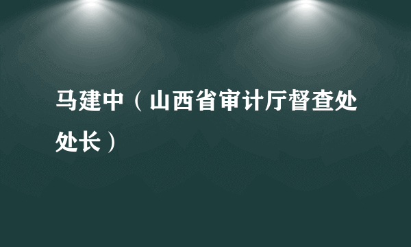 马建中（山西省审计厅督查处处长）