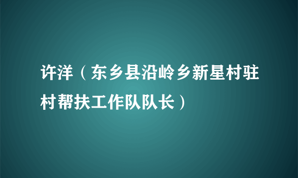 许洋（东乡县沿岭乡新星村驻村帮扶工作队队长）