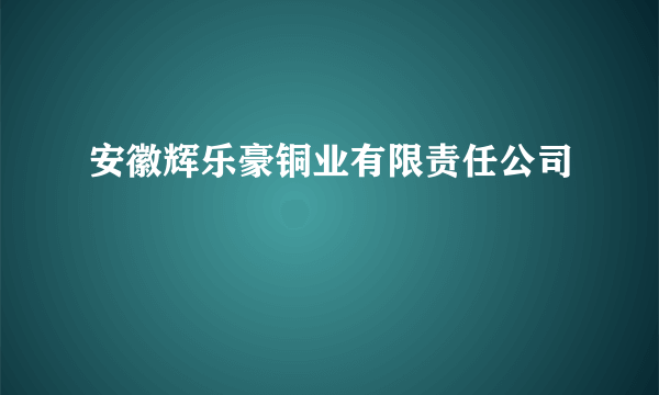 安徽辉乐豪铜业有限责任公司