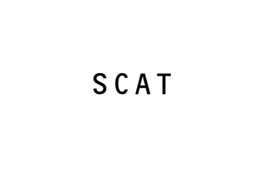 SCAT（战略导向人才培养服务）