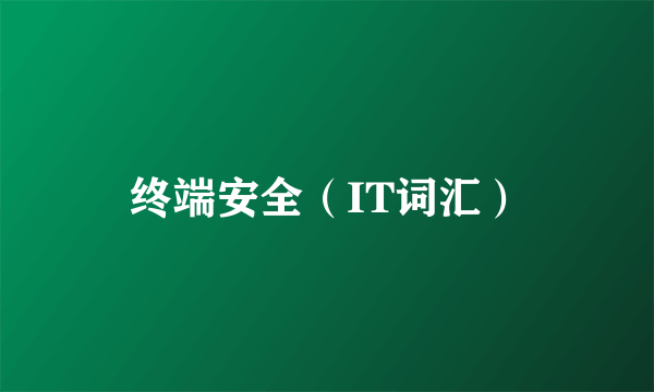 终端安全（IT词汇）