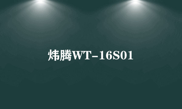 炜腾WT-16S01