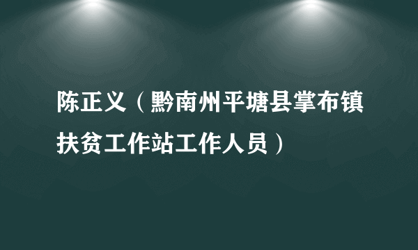 陈正义（黔南州平塘县掌布镇扶贫工作站工作人员）