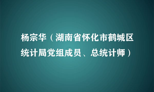 杨宗华（湖南省怀化市鹤城区统计局党组成员、总统计师）