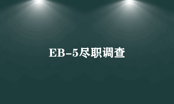 EB-5尽职调查