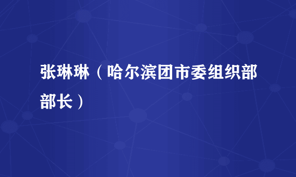 张琳琳（哈尔滨团市委组织部部长）