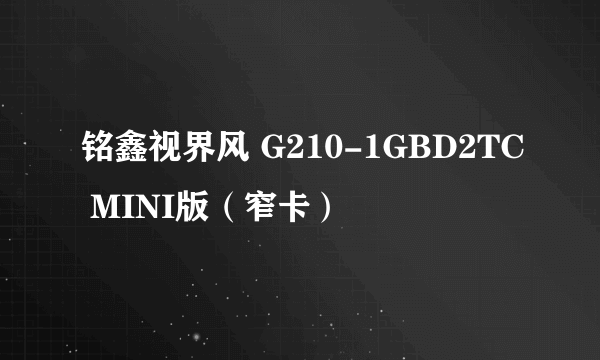 铭鑫视界风 G210-1GBD2TC MINI版（窄卡）