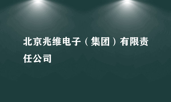 北京兆维电子（集团）有限责任公司