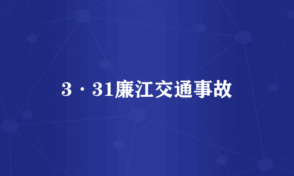 3·31廉江交通事故