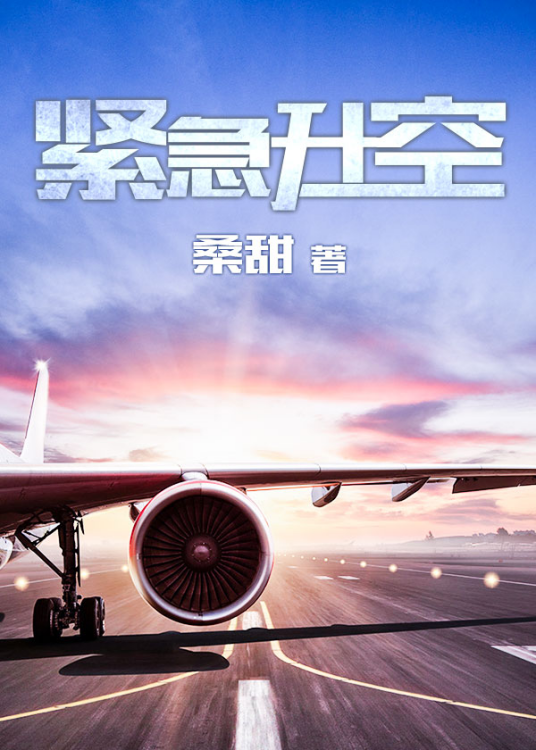 紧急升空（桑甜创作的小说作品）