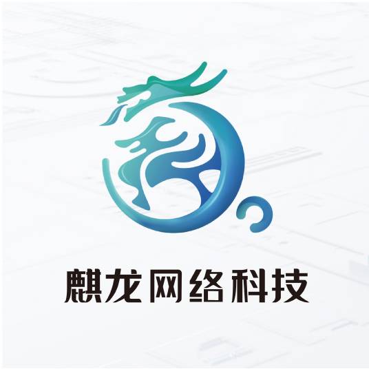 广州麒龙网络科技有限公司