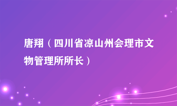 唐翔（四川省凉山州会理市文物管理所所长）