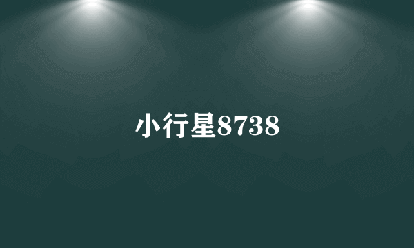 小行星8738