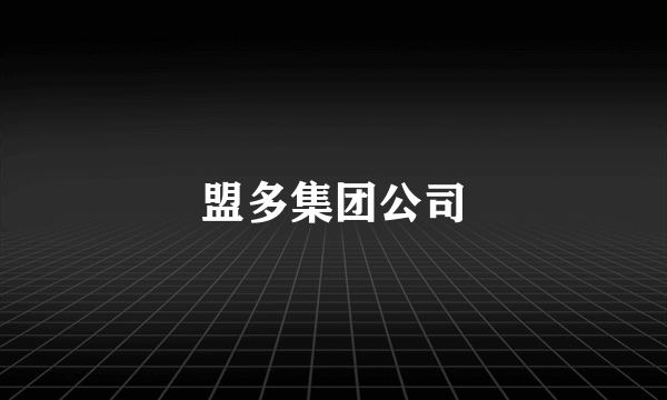 盟多集团公司