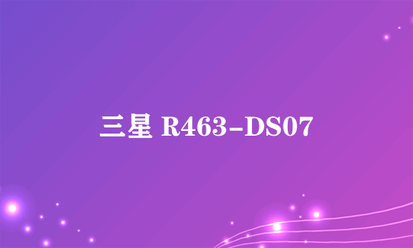 三星 R463-DS07