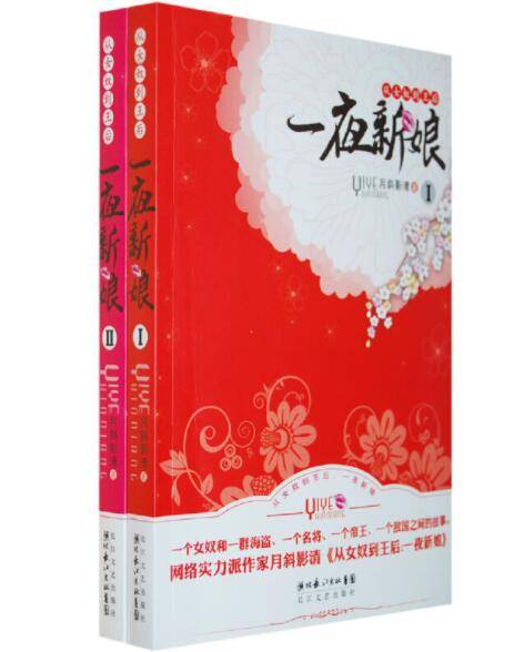 一夜新娘（2009年长江文艺出版社出版的图书）