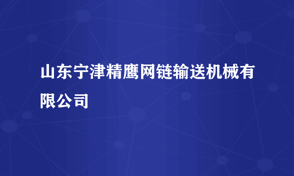 山东宁津精鹰网链输送机械有限公司